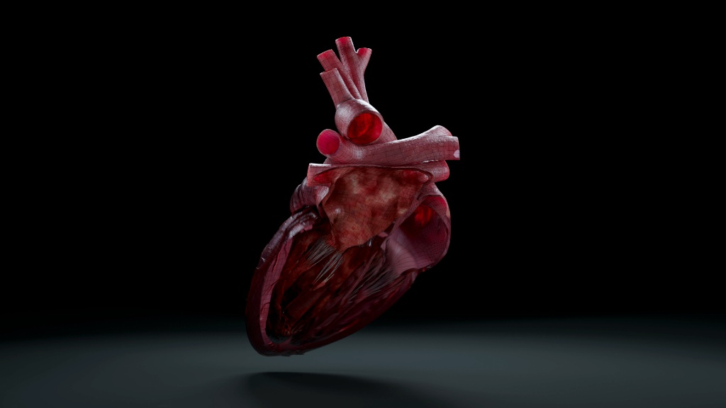 Interactive 3D virtual eye model